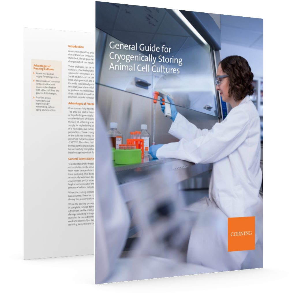 Cryogenically Storing Animal Cell Cultures